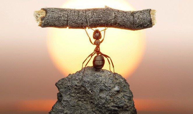 nothing-is-impossible